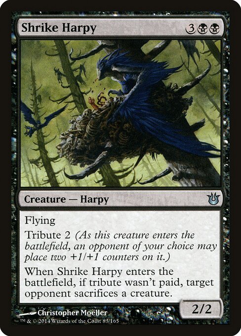Shrike Harpy - BNG 83