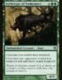 Archetype of Endurance - BNG 116