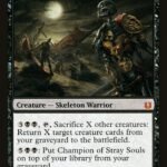 Champion of Stray Souls - BNG 63