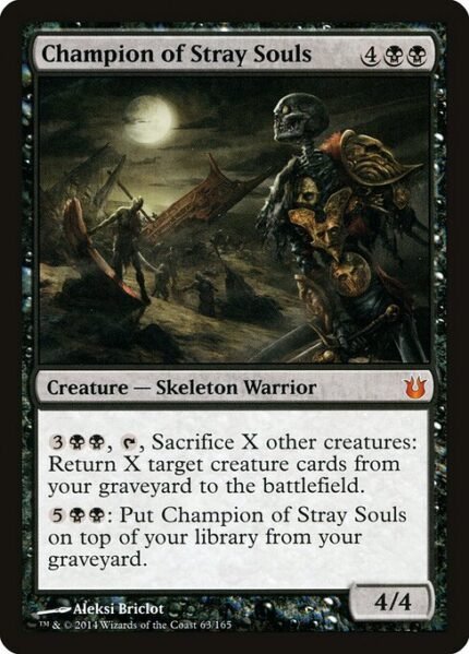 Champion of Stray Souls (BNG 63)