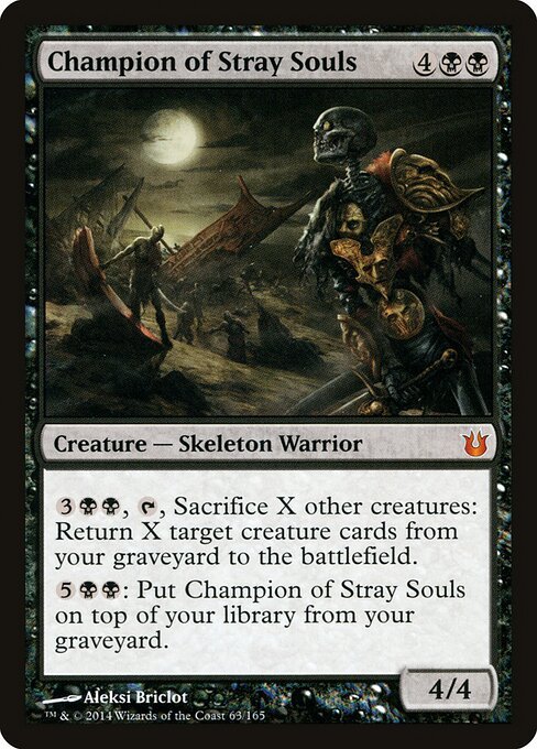Champion of Stray Souls - BNG 63