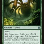 Graverobber Spider - BNG 122