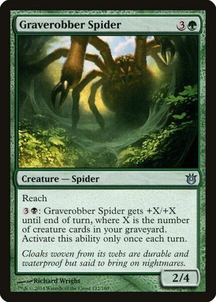 Graverobber Spider (BNG 122)