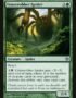 Graverobber Spider - BNG 122