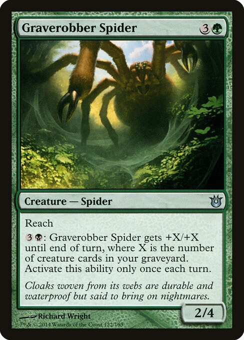 Graverobber Spider - BNG 122