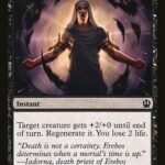 Boon of Erebos - THS 80