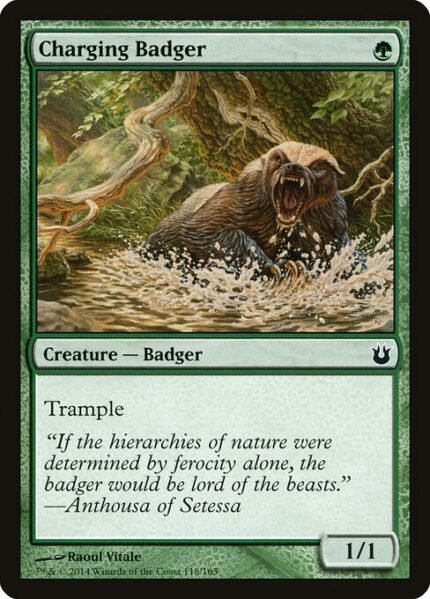 Charging Badger (BNG 118)