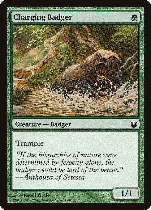 Charging Badger - BNG 118