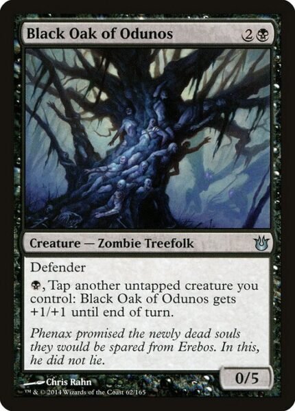 Black Oak of Odunos (BNG 62)