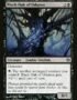 Black Oak of Odunos - BNG 62