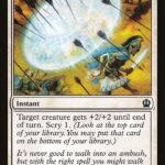 Battlewise Valor - THS 1