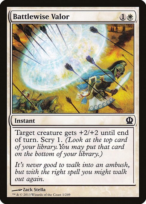 Battlewise Valor - THS 1