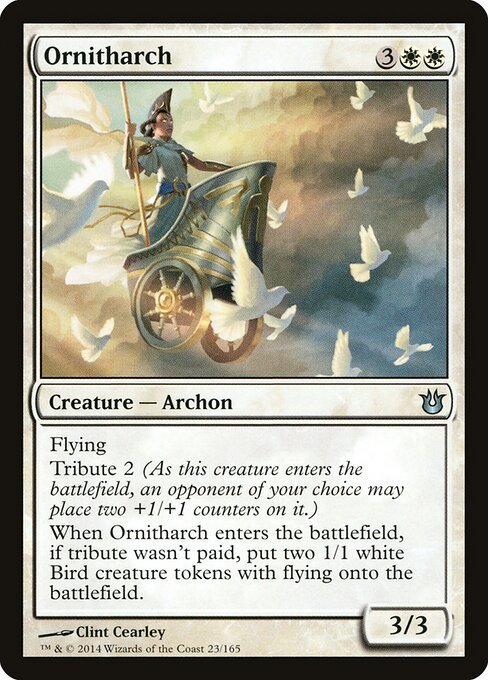 Ornitharch - BNG 23